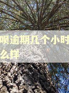 借呗逾期几个小时会怎么样 借呗逾期几个小时会怎么样