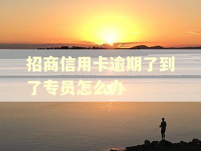 招商信用卡逾期了到了专员怎么办 招商信用卡逾期了到了专员怎么办