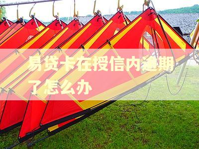易贷卡在授信内逾期了怎么办