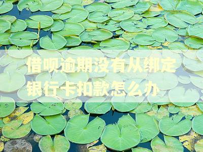 借呗逾期没有从绑定银行卡扣款怎么办