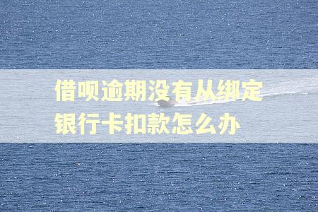 借呗逾期没有从绑定银行卡扣款怎么办