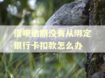 借呗逾期没有从绑定银行卡扣款怎么办 借呗逾期没有从绑定银行卡扣款怎么办