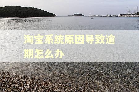 淘宝系统原因导致逾期怎么办