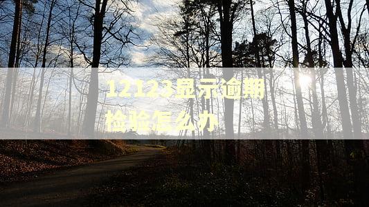 12123显示逾期检验怎么办