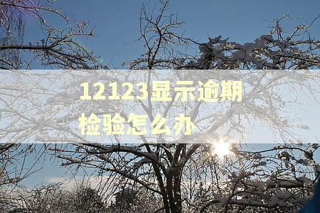 12123显示逾期检验怎么办