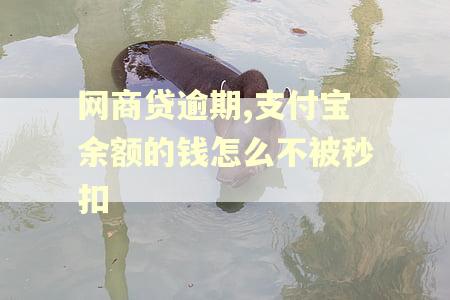 网商贷逾期,支付宝余额的钱怎么不被秒扣 网商贷逾期,支付宝余额的钱怎么不被秒扣
