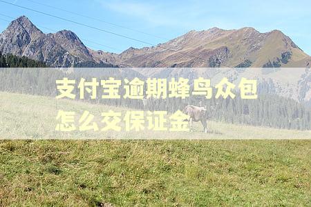 支付宝逾期蜂鸟众包怎么交保证金