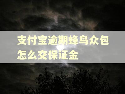 支付宝逾期蜂鸟众包怎么交保证金