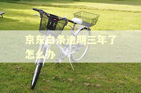 京东白条逾期三年了怎么办