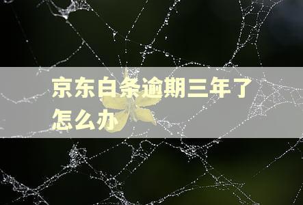 京东白条逾期三年了怎么办 京东白条逾期三年了怎么办