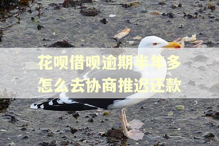 花呗借呗逾期半年多怎么去协商推迟还款 花呗借呗逾期半年多怎么去协商推迟还款