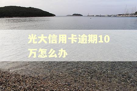 光大信用卡逾期10万怎么办