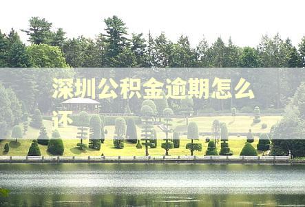 深圳公积金逾期怎么还