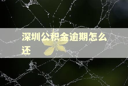 深圳公积金逾期怎么还 深圳公积金逾期怎么还