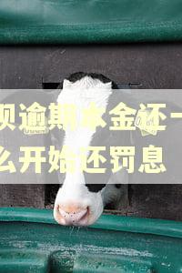 借呗逾期本金还一半怎么开始还罚息