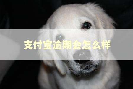 支付宝逾期会怎么样