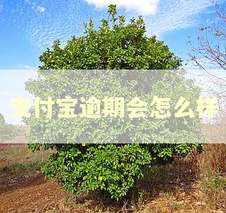 支付宝逾期会怎么样