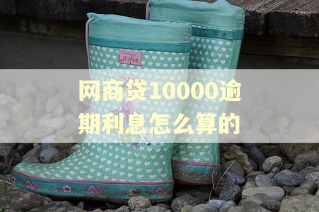 网商贷10000逾期利息怎么算的