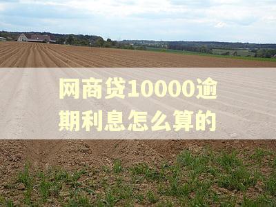 网商贷10000逾期利息怎么算的