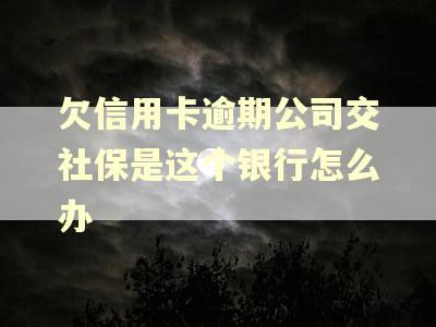欠信用卡逾期公司交社保是这个银行怎么办
