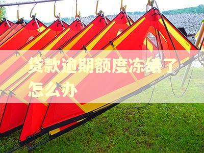 贷款逾期额度冻结了怎么办