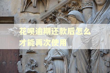 花呗逾期还款后怎么才能再次使用