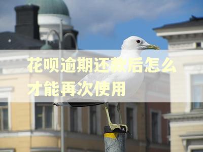 花呗逾期还款后怎么才能再次使用
