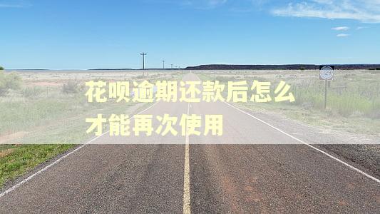花呗逾期还款后怎么才能再次使用 花呗逾期还款后怎么才能再次使用