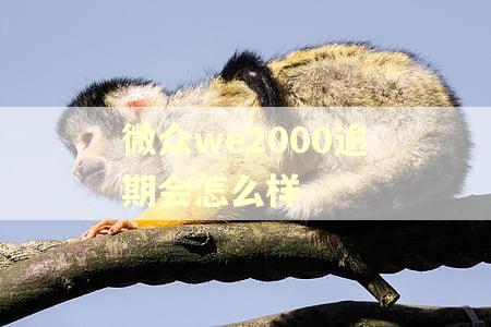 微众we2000逾期会怎么样