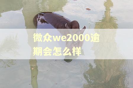 微众we2000逾期会怎么样