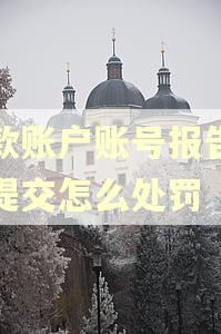存款账户账号报告逾期提交怎么处罚