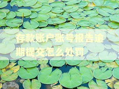 存款账户账号报告逾期提交怎么处罚 存款账户账号报告逾期提交怎么处罚