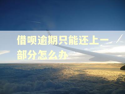 借呗逾期只能还上一部分怎么办