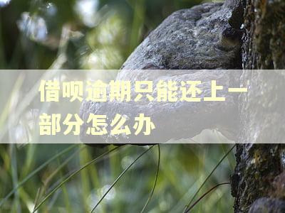 借呗逾期只能还上一部分怎么办