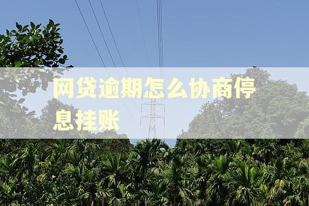 网贷逾期怎么协商停息挂账