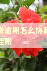 网贷逾期怎么协商停息挂账