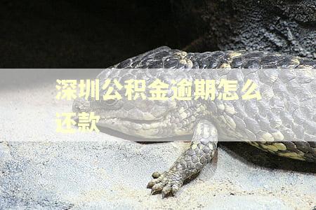 深圳公积金逾期怎么还款