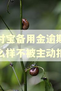 支付宝备用金逾期,怎么样不被主动扣钱