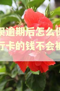 借呗逾期后怎么保证银行卡的钱不会被划走 借呗逾期后怎么保证银行卡的钱不会被划走