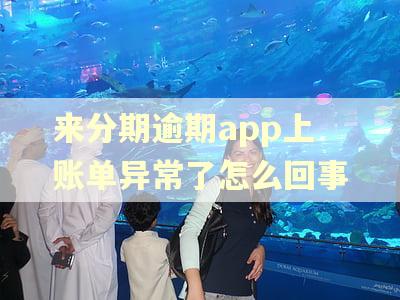 来分期逾期app上账单异常了怎么回事
