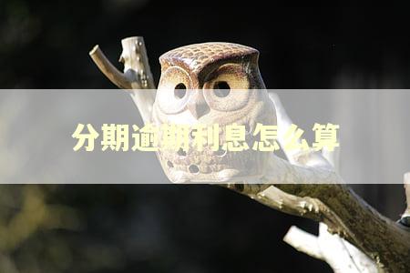 分期逾期利息怎么算