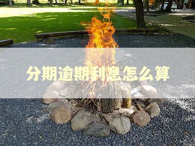 分期逾期利息怎么算
