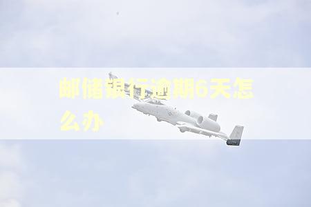 邮储银行逾期6天怎么办