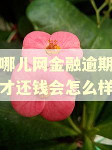 去哪儿网金融逾期三天才还钱会怎么样