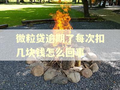 微粒贷逾期了每次扣几块钱怎么回事