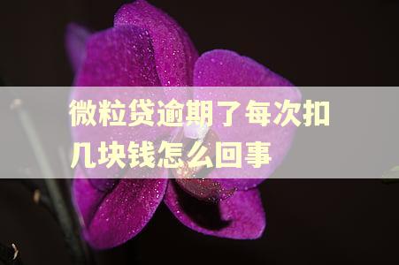 微粒贷逾期了每次扣几块钱怎么回事 微粒贷逾期了每次扣几块钱怎么回事