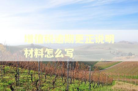 增值税逾期更正说明材料怎么写