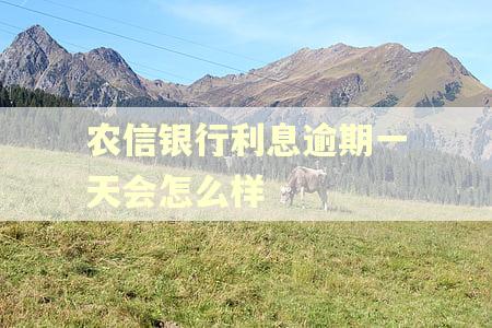 农信银行利息逾期一天会怎么样