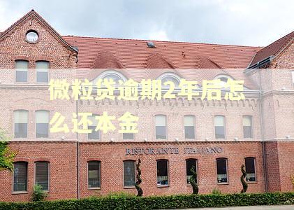 微粒贷逾期2年后怎么还本金