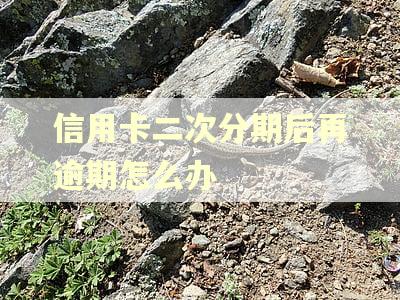 信用卡二次分期后再逾期怎么办